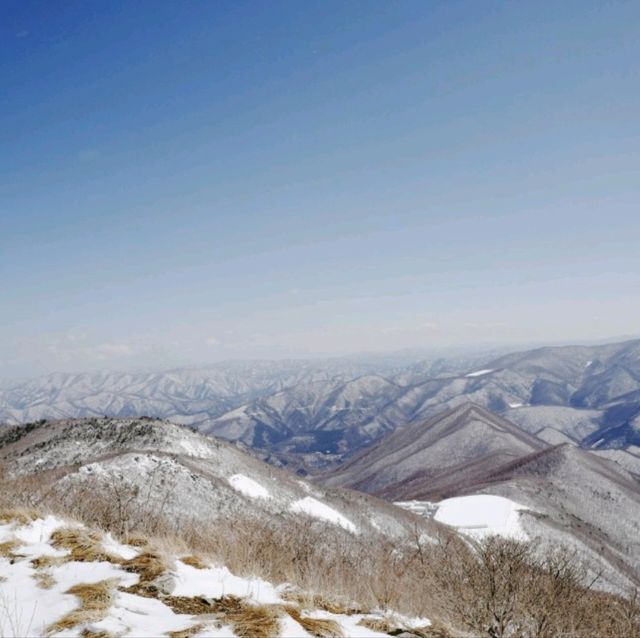 함백산 눈꽃여행 