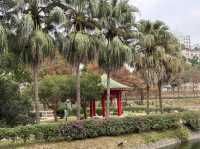【 新年行大運｜賞湖去 ｜免費景點一日遊 】