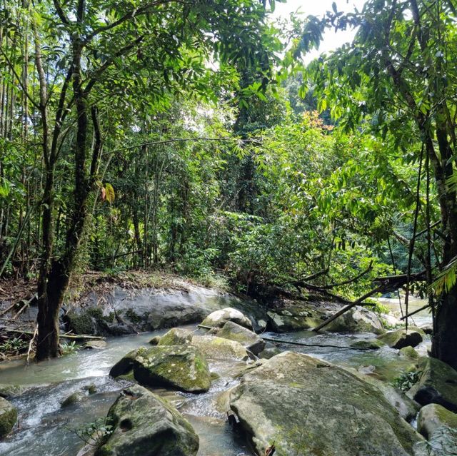 Jurassic Park of Sarawak- Bengoh Dam