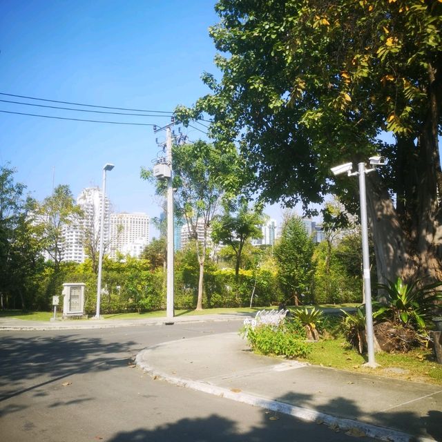 สวนเบญจกิติ สวนป่ากลางกรุง