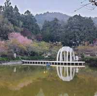 OPEN將的高山花園【清境小瑞士花園】