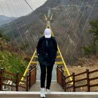 Fall in love with suspension bridges !! 