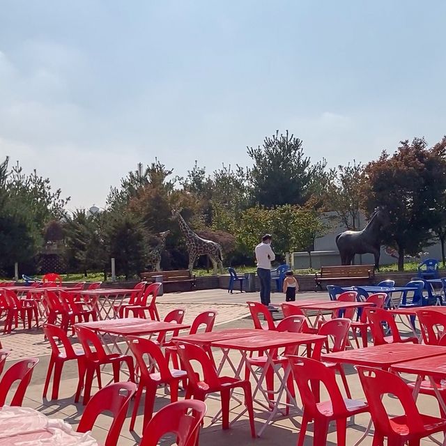 이때가 아니면 즐길 수 없어! 인천 제철 여행🌿