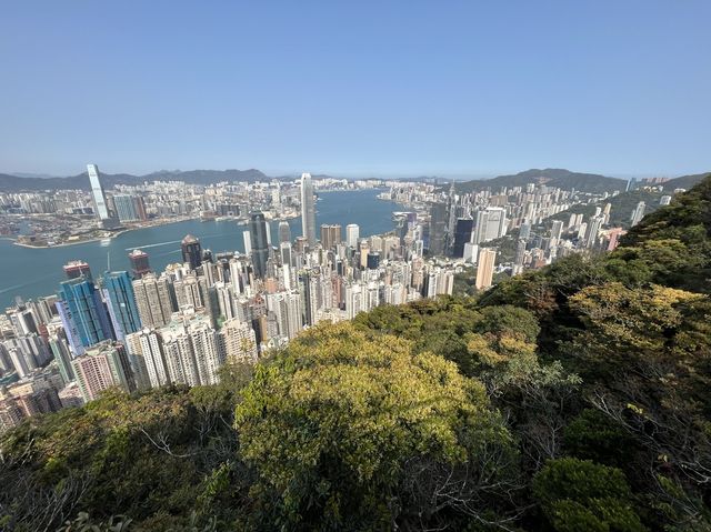 零難度山頂行山，夏力道和盧吉道環迴步行徑