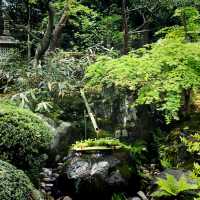 【島根県/足立美術館】