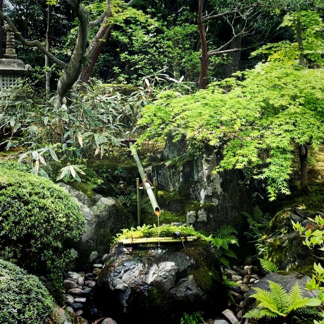 【島根県/足立美術館】