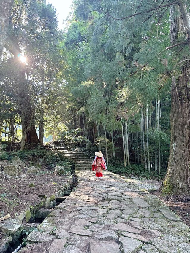 熊野古道から熊野那智大社、青岸渡寺へ