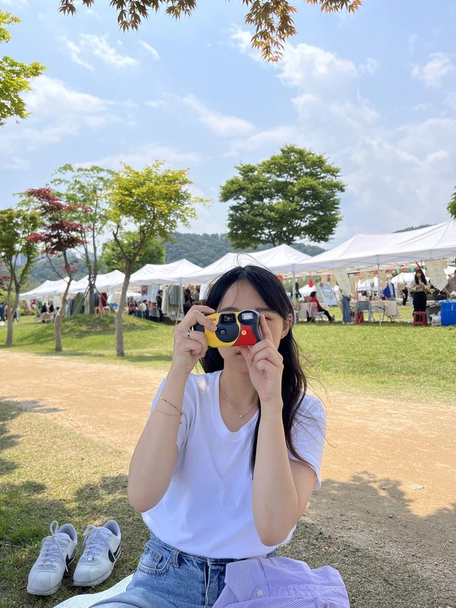 작약, 안개꽃이  아름답게 피어있는 태화강 국가정원