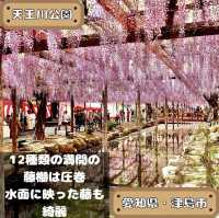 天王川公園