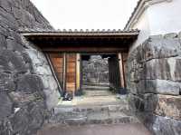 山梨・甲府。甲府駅前『舞鶴城公園』を散策。