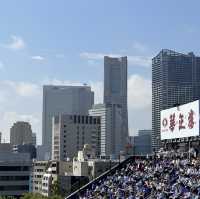 【横浜】台風一過の野球観戦・横浜スタジアム
