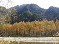 Mùa thu Kamikochi,nagano,japan