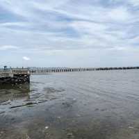 อาหารทะเลสดๆ ประมงพื้นบ้านหาดวอนนภา