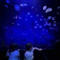 都内にある水族館！