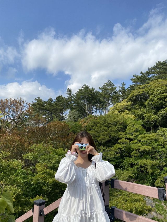 서귀포 더운 여름에 꼭 가봐야하는 ‘안덕계곡’