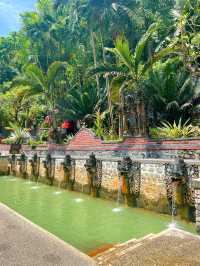 Hidden Gem <Hot Spring> In Northern Bali⁉️🤫
