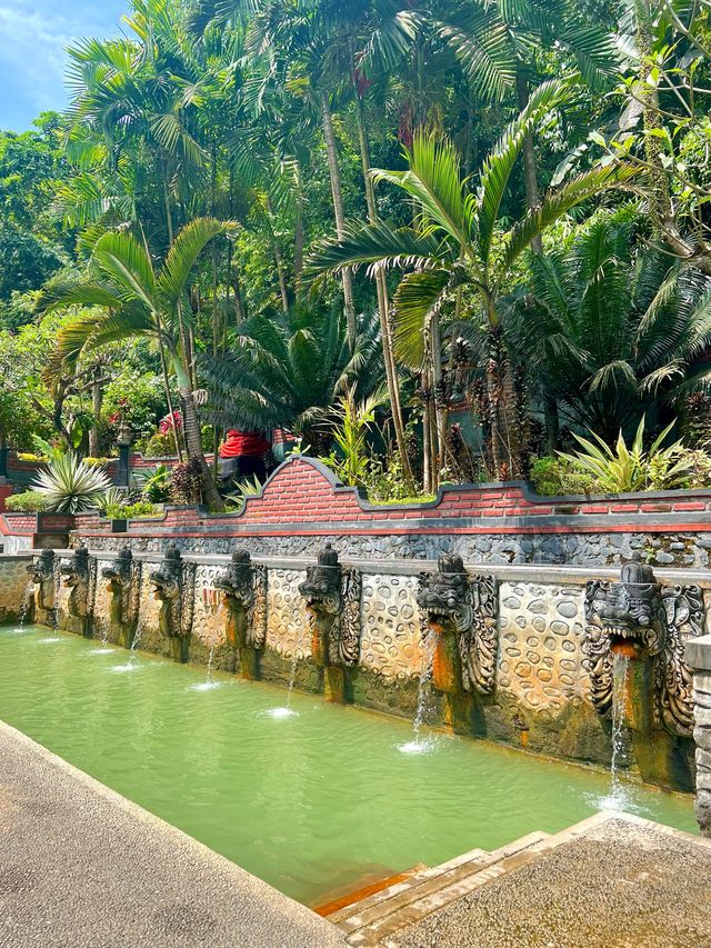 Hidden Gem <Hot Spring> In Northern Bali⁉️🤫