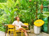 🥢🍋 “มะนาวก๋วยเตี๋ยวในสวน” ร้านอร่อย (ไม่ลับ) ย่านตลิ่งชัน