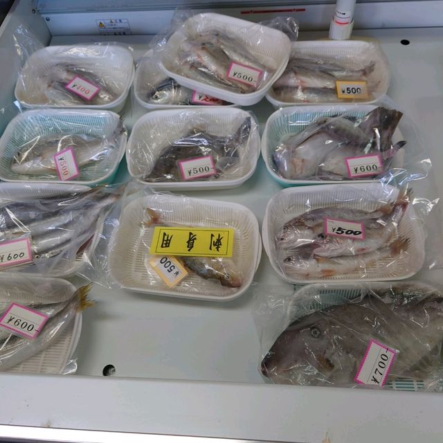 愛知旅行！「多賀の里」「魚弘」