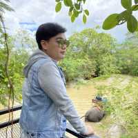 หมู่บ้านช้างพัทยา