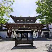 Qing Xiu Shan, Nanning Trip