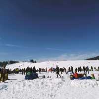 Gulmarg -The Heaven 