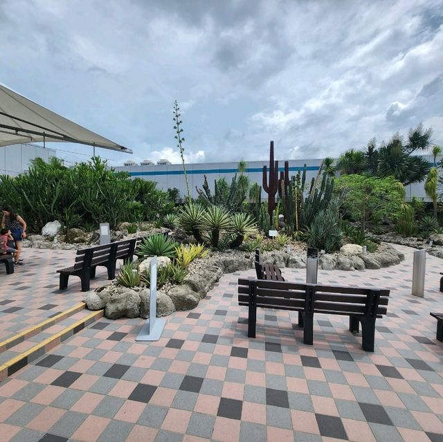 Cactus Garden at Changi Airport T1