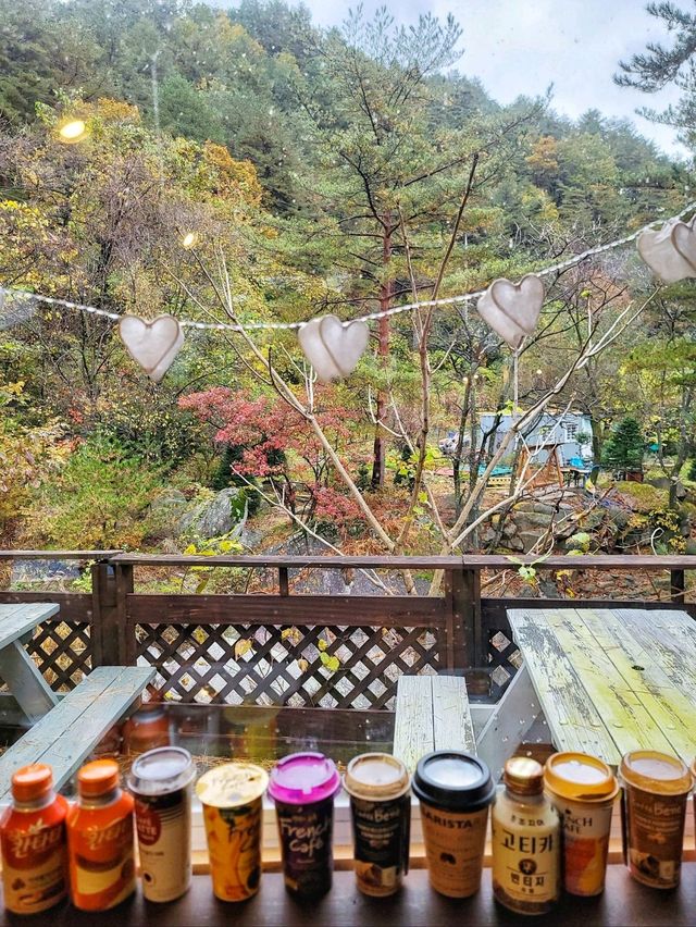 강릉의 특별한 카페가 궁금하다면🤎
