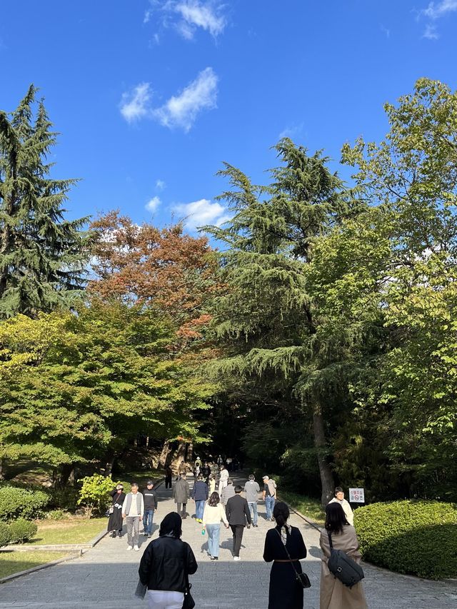 경주 불국사 산책하기 좋아요🌳