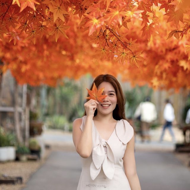 อุโมงค์เมเปิ้ลก็แค่กาญจนบุรี