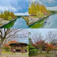 Tranquil Symphony: Morning in Konki