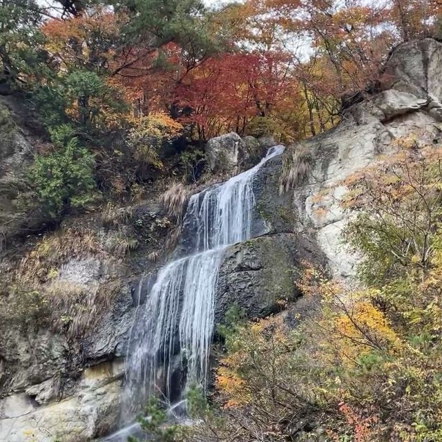 🌳🦋 清溪森林公園～與大自然共舞！🌿🏞️🌼