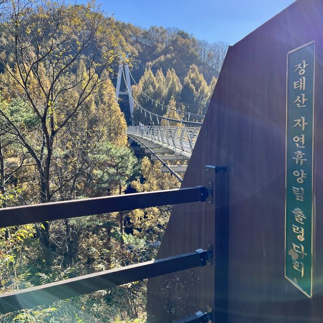 대전 단풍명소 장태산 자연휴양림 바위산 포토종