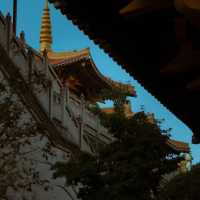 清照寺 🌸🏯和風古寺的心靈寄託🙏🍃