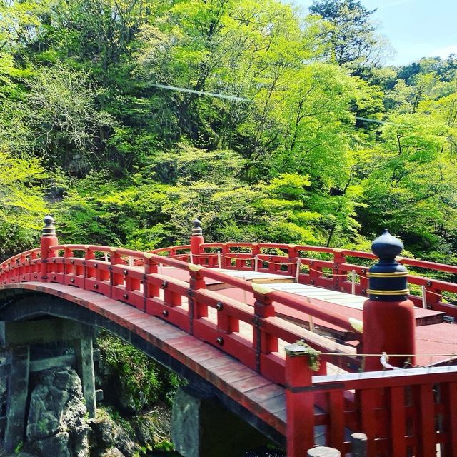 Discover amazing Nikko Toshogu Shrine