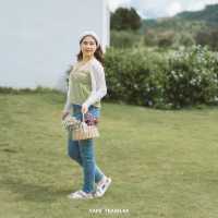 blossom bloom เขาใหญ่