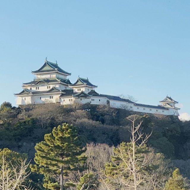 和歌山城的日與夜