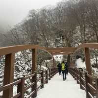 제주 🗻한라산🗻관음사(삼각봉) 등산(왕복6시간)