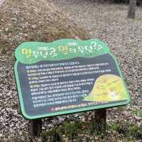 🌿광주호 호수생태원🌿