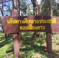 ดอยหลวงเชียงดาว เชียงใหม่
