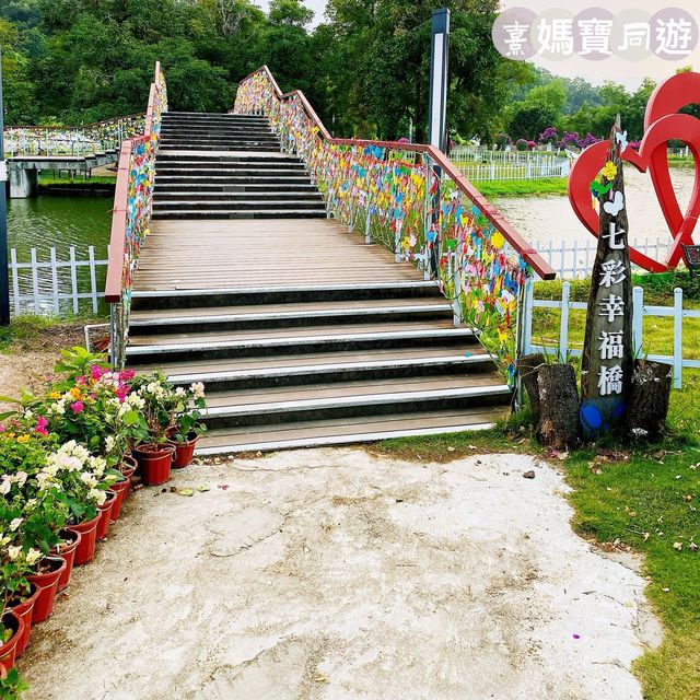 探索蝶豆花園