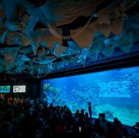 Aquaria Phuket