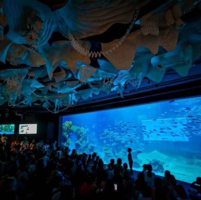 Aquaria Phuket
