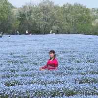 広島県　世羅　花夢の里
