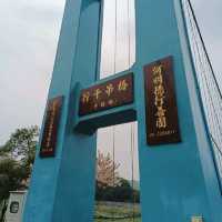 嘉義竹崎親水公園 天空走廊 行千吊橋（千禧橋）花棋木盛開美不勝收