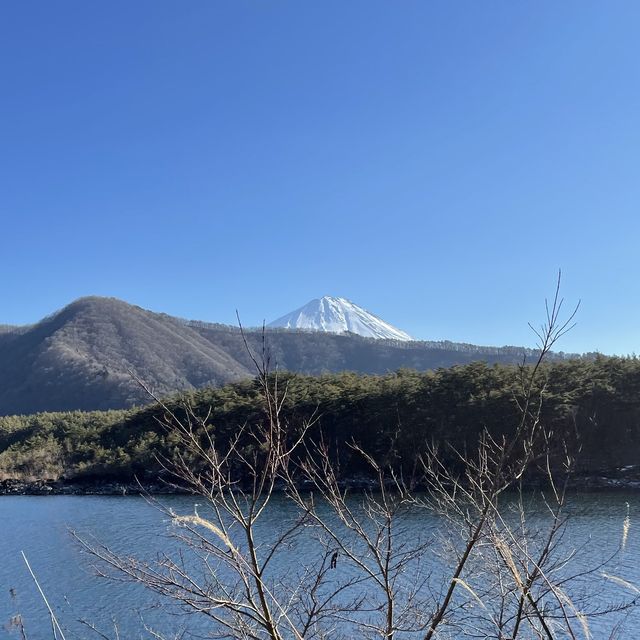 キャンプ場いっぱいの西湖