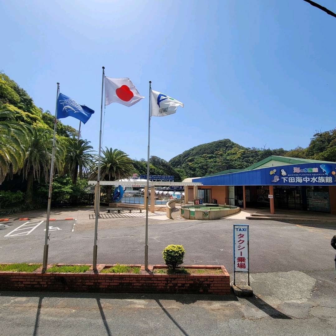 [Shimoda/Izu] Overwhelming scenery