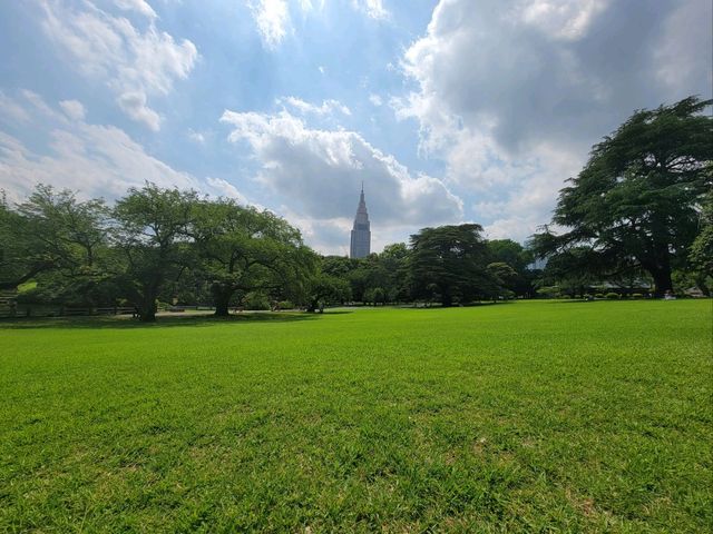 東京繁忙大都市内的美麗綠洲