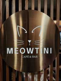 旺角新開貓貓餐廳之meowtini  cat  cafe  &  bar