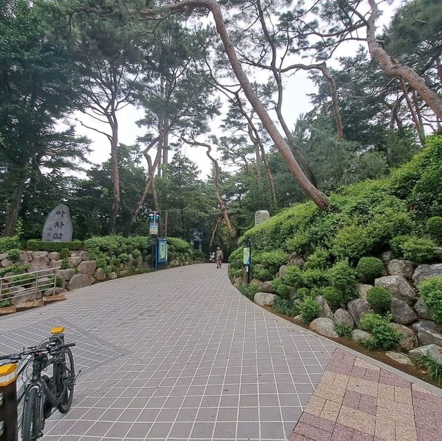 韓國景點📸峨嵯山生態公園😊親親大自然體驗日🌤